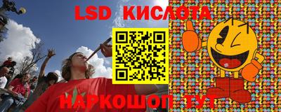молекула духа Будённовск