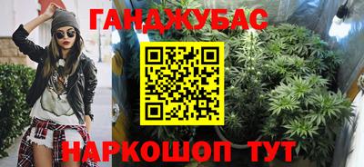 молекула духа Будённовск