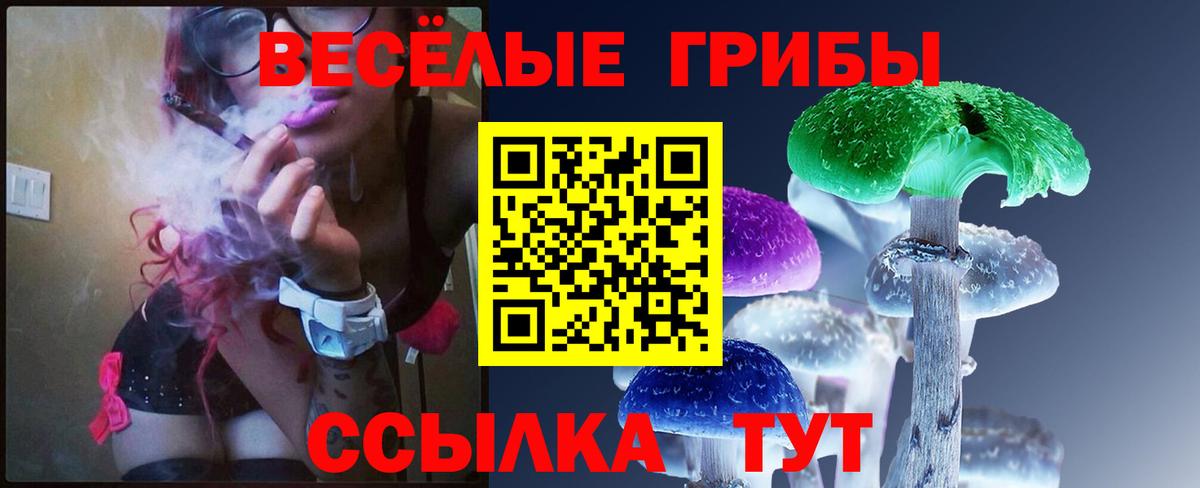 Псилоцибиновые грибы мицелий  Вход с VPN  сколько стоит  Кингисепп 